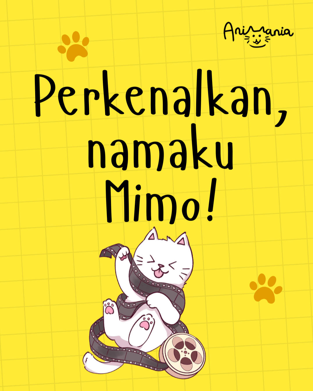 Mimo, Maskot Festival Animania 2026 Mimo, Maskot Festival Animania 2026